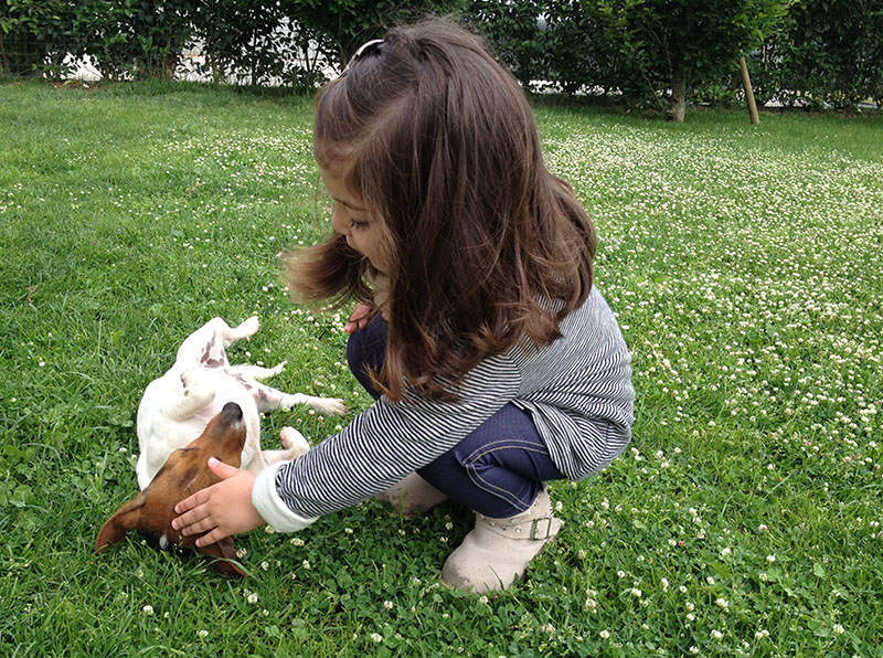 bimba gioca e coccola cane jack russel, indossando un look alla moda con blazer baby con micro righe, leggings e stivaletti bikers con borchie