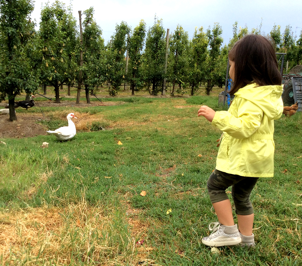 bambina in campagna in un giorno di pioggia con parka impermeabile color giallo lime, leggings mimetici camo camouflage e sneakers crime