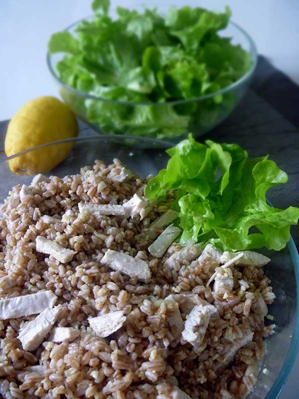 insalata di farro pollo e frutta secca, un piatto freddo semplice e veloce